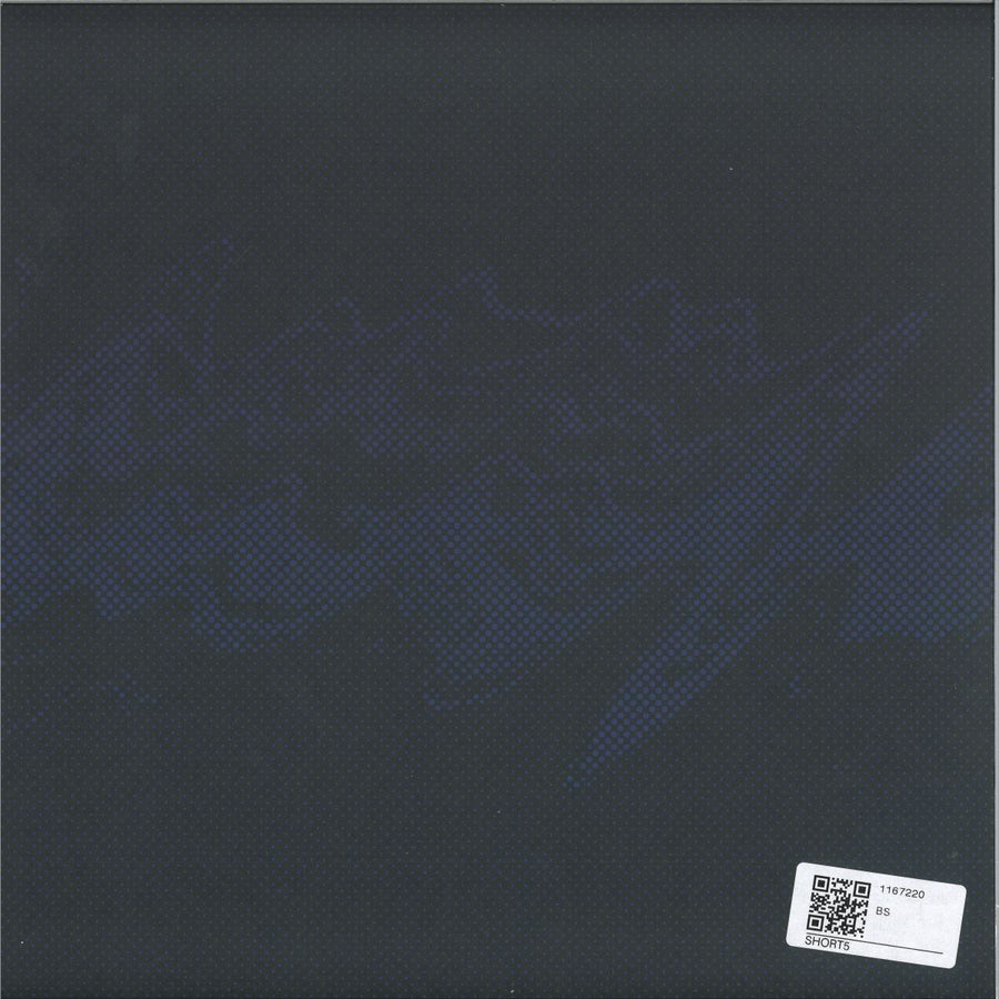 Sa Pa - Ambeesh — back sleeve