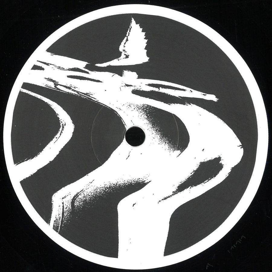 The Chronics - Voices From The Void EP — front sleeve