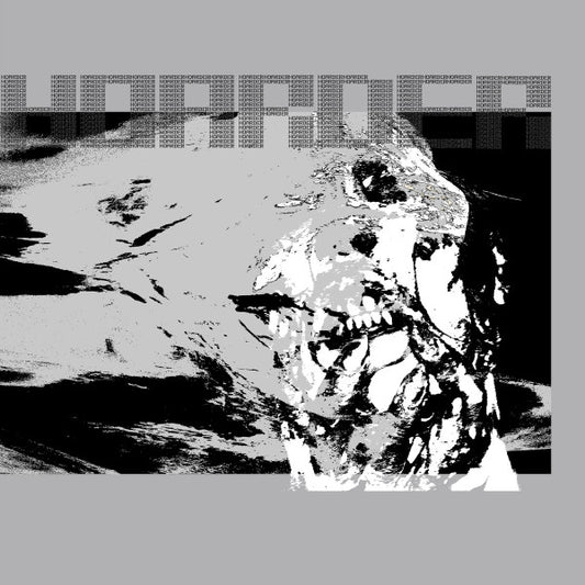 Hoarder (3) : Consumer Regret (12", EP, Ltd)