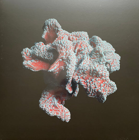 Aera : Prana EP (2x12", EP)