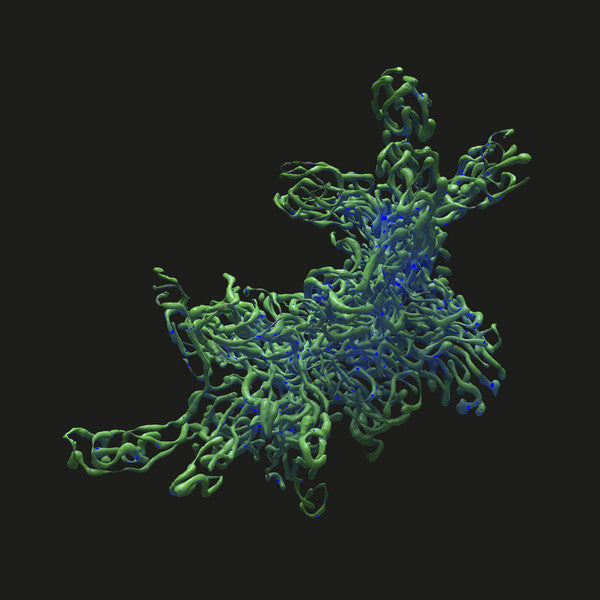 Echonomist : Virtuality EP (12", EP)