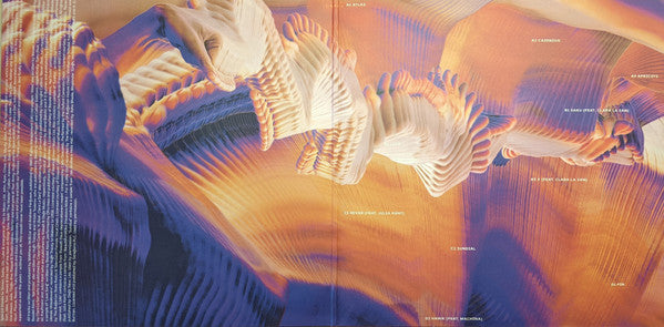 Bicep - Isles — back sleeve