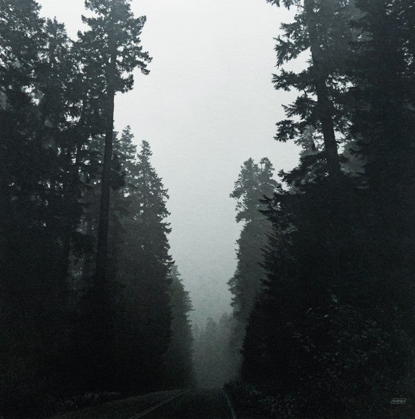 Grouper - Shade — back sleeve