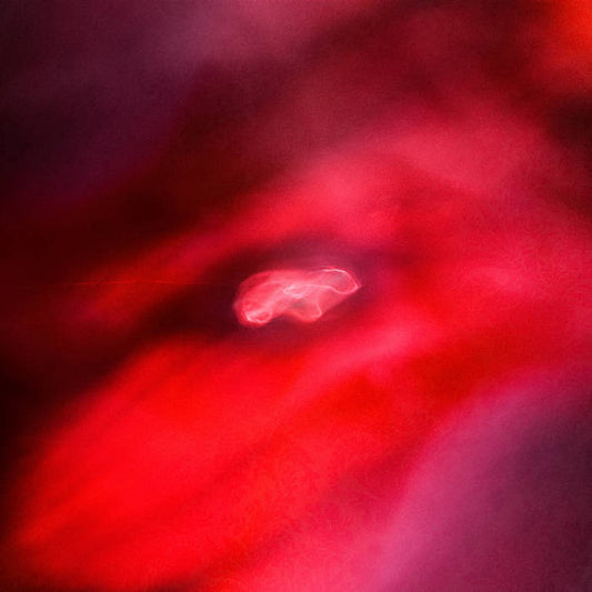 Siavash Amini + Saffronkeira : The Faded Orbit (LP, Album)