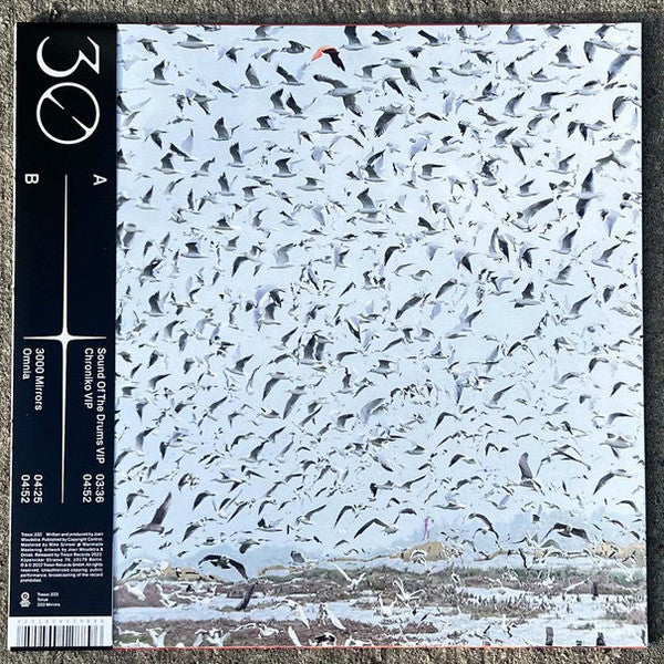 Torus - 333 Mirrors — back sleeve