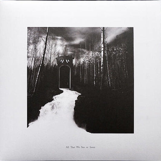 All That We See Or Seem : All That We See Or Seem (LP, Album)