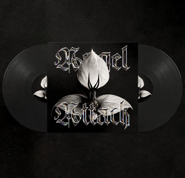 Angel Attack - Divine Practicalities — back sleeve