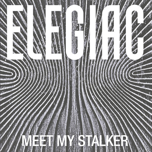 Elegiac - Meet My Stalker — front sleeve