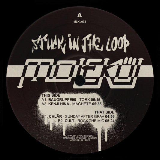 Various : Stuck In The Loop (2x12", Comp)