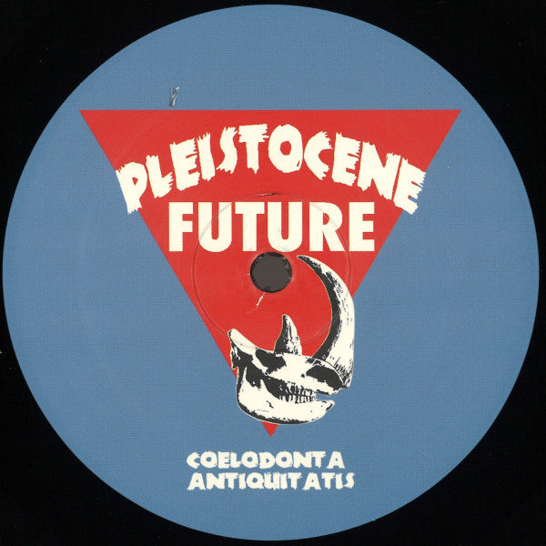 ARKVS - Pleistocene Future 5 — front sleeve