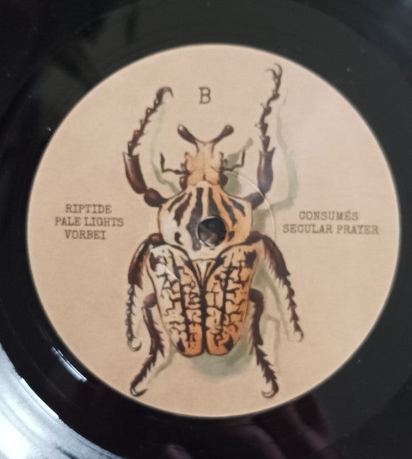 Frustration : Our Decisions (LP, Album)