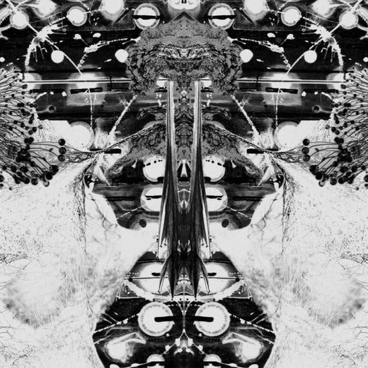 Almax Und Forte : Nois D'Avui (LP)