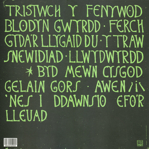 Tristwch Y Fenywod - Tristwch Y Fenywod — back sleeve
