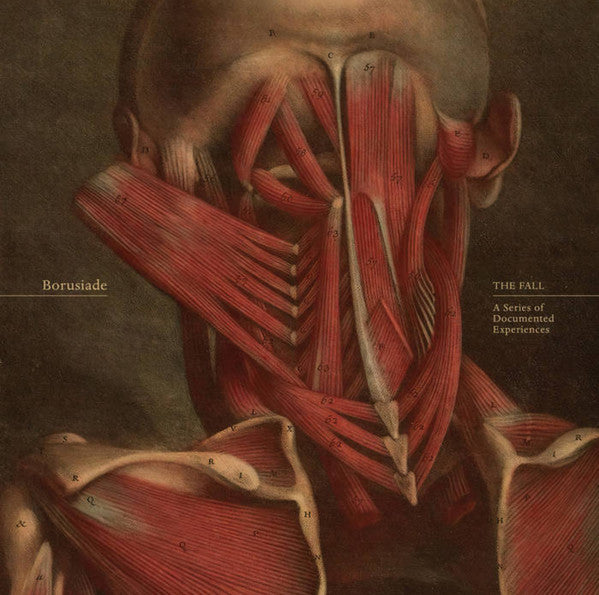 Borusiade - The Fall: A Series Of Documented Experiences — front sleeve