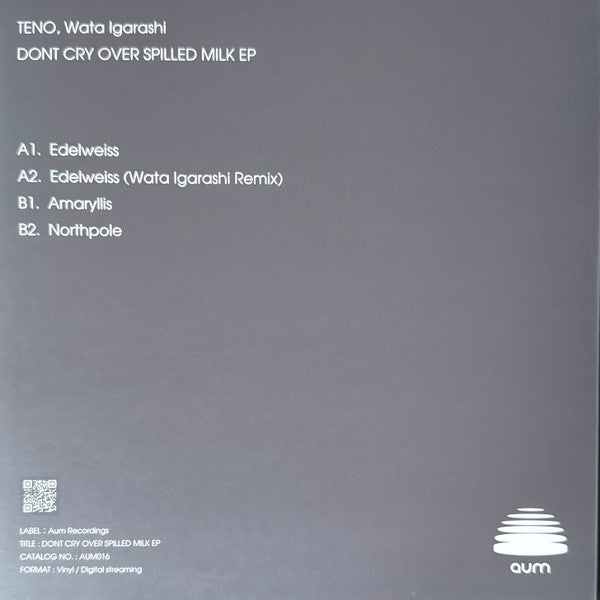 TENO , Wata Igarashi - Don't Cry Over Spilled Milk EP — back sleeve