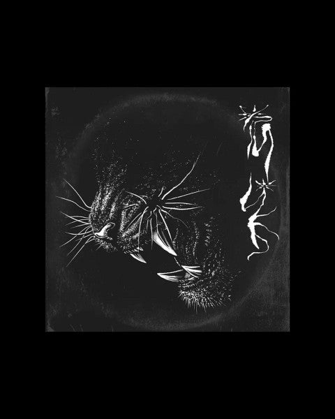 Xin Lie : Xin Lie (12", Album)