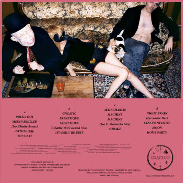 Les Animaux Sauvages - Futurespective — back sleeve