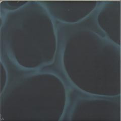 BLNDR - Radiolaria — front sleeve