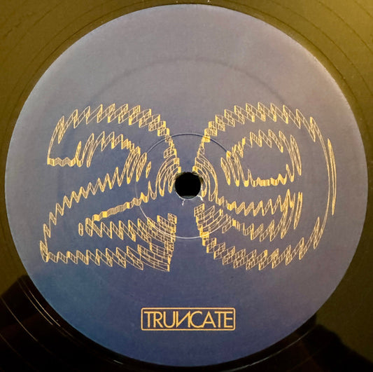 Truncate : Forgotten (12", EP)