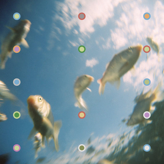 Aladdin! : The Aquatic Genie (12", EP)