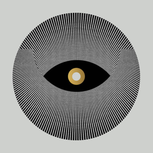 Denise Rabe - Transition LP