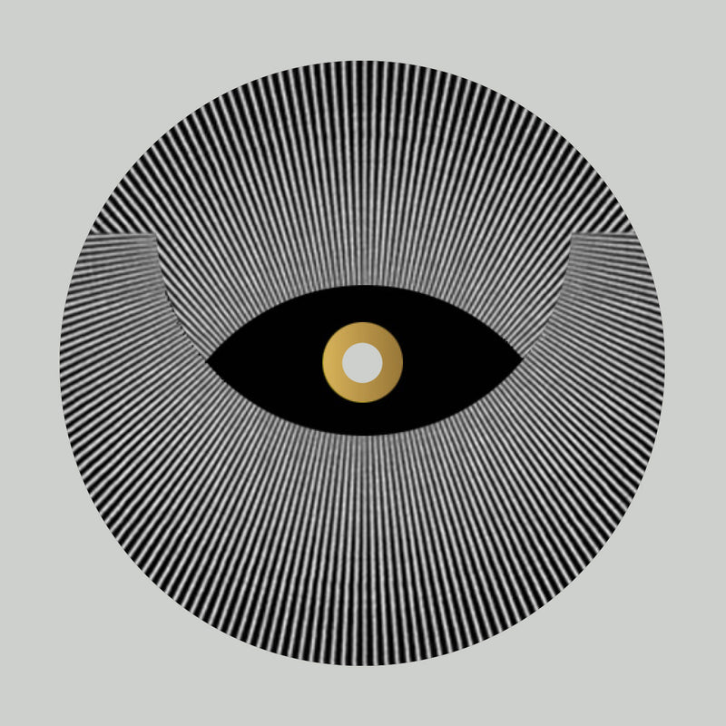 Denise Rabe - Transition LP — front sleeve