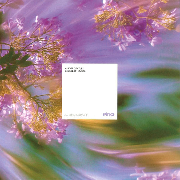 Guy From Downstairs - Brighter Ep — back sleeve