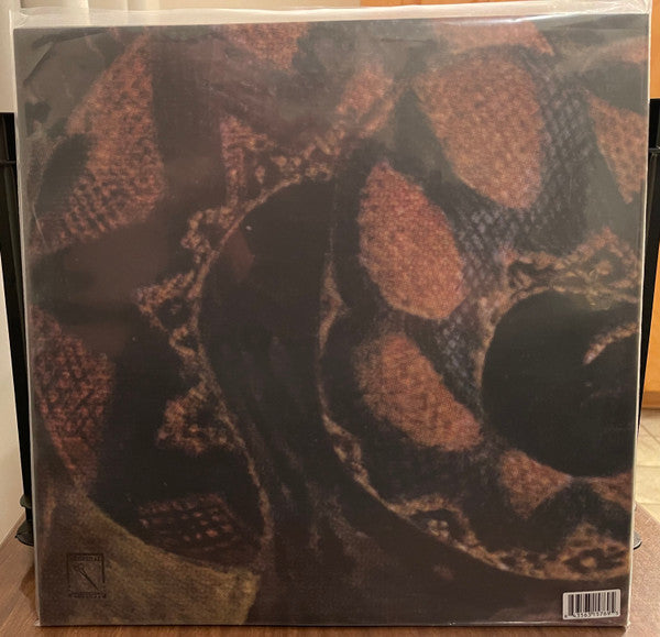 Rainforest Spiritual Enslavement - Ambient Black Magic — back sleeve