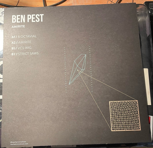 Ben Pest - Amirite — back sleeve