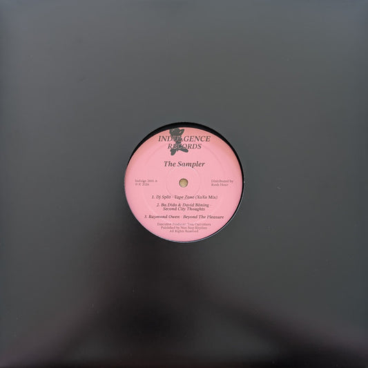 Various – The Sampler (12") vinyl record | Paranoise Records