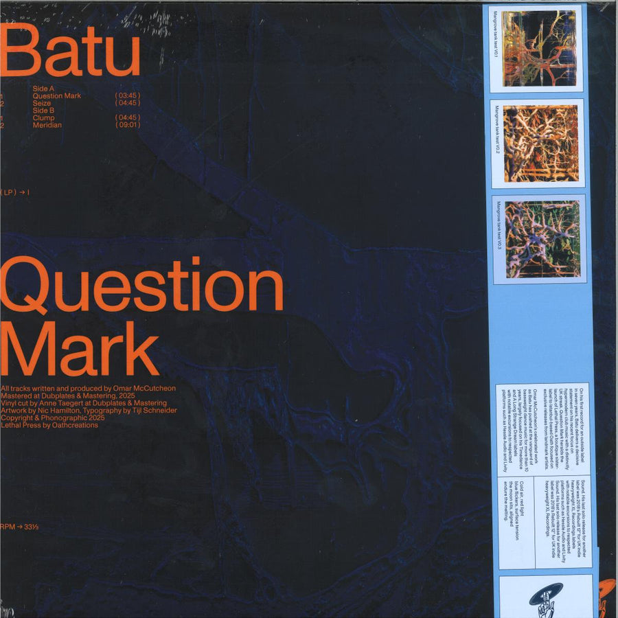 Batu  - Question Mark — back sleeve