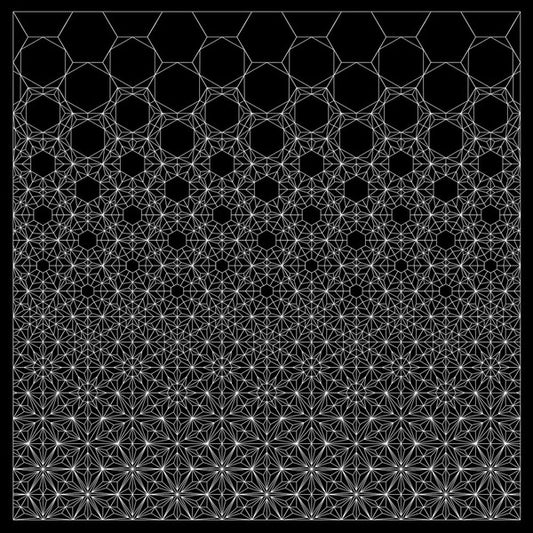 The Sun God : The Anticipatory Organization (12", EP)