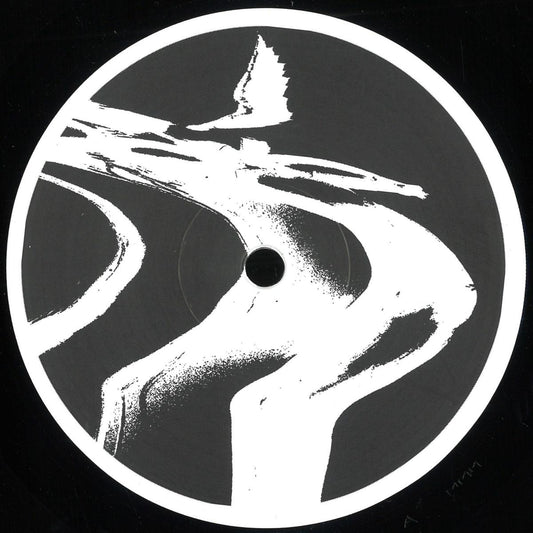 The Chronics  - Voices From The Void EP (12", EP) (Mint (M))