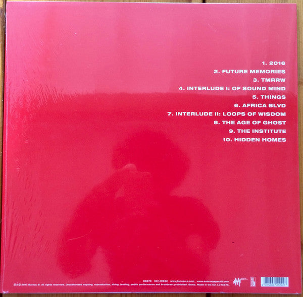 Andreas Spechtl : Thinking About Tomorrow, And How To Build It (LP, Album)