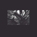 R.A.N.* : Şeb-i Yelda  (12", Ltd, Cle)