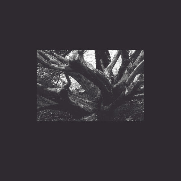 Roads At Night - Şeb-i Yelda — front sleeve