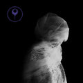 Distel (2) : Wapens (LP, Album, Ltd)