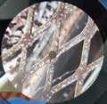 Clip! : Grip (12")