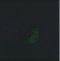 Internacional Electrical Rhythms : Azaka EP (12", EP)