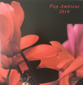 Various : Pop Ambient 2010 (LP, Comp)