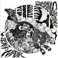 Dengue Dengue Dengue* : Zenit & Nadir (2xLP, Album, Ltd)