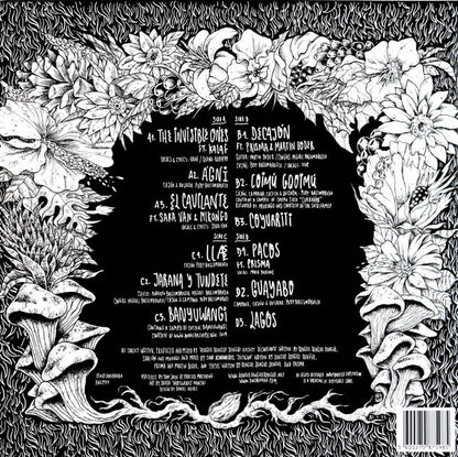 Dengue Dengue Dengue* : Zenit & Nadir (2xLP, Album, Ltd)