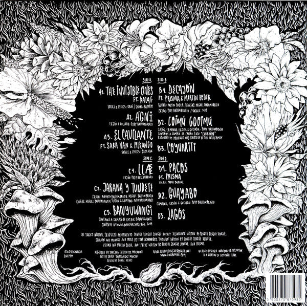 Dengue Dengue Dengue* - Zenit & Nadir — back sleeve