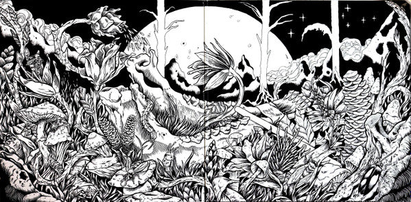 Dengue Dengue Dengue* : Zenit & Nadir (2xLP, Album, Ltd)