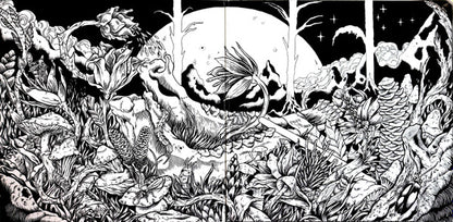 Dengue Dengue Dengue* : Zenit & Nadir (2xLP, Album, Ltd)