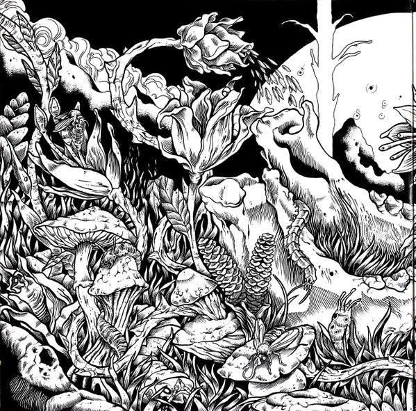 Dengue Dengue Dengue* : Zenit & Nadir (2xLP, Album, Ltd)