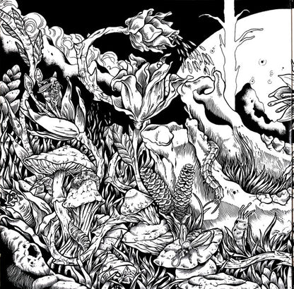 Dengue Dengue Dengue* : Zenit & Nadir (2xLP, Album, Ltd)