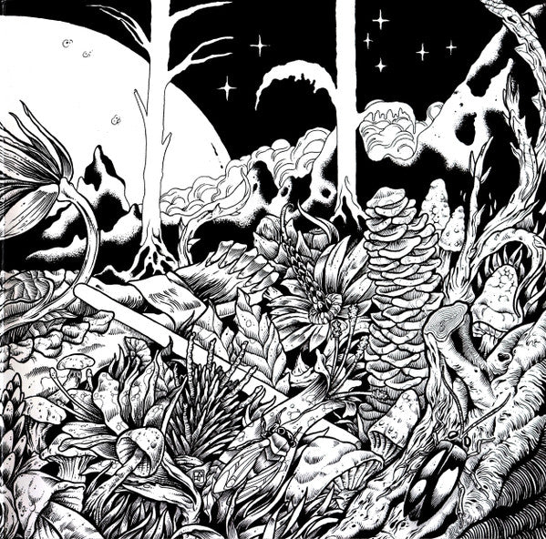 Dengue Dengue Dengue* : Zenit & Nadir (2xLP, Album, Ltd)