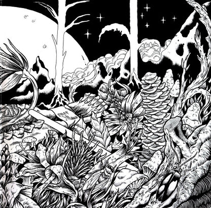 Dengue Dengue Dengue* : Zenit & Nadir (2xLP, Album, Ltd)