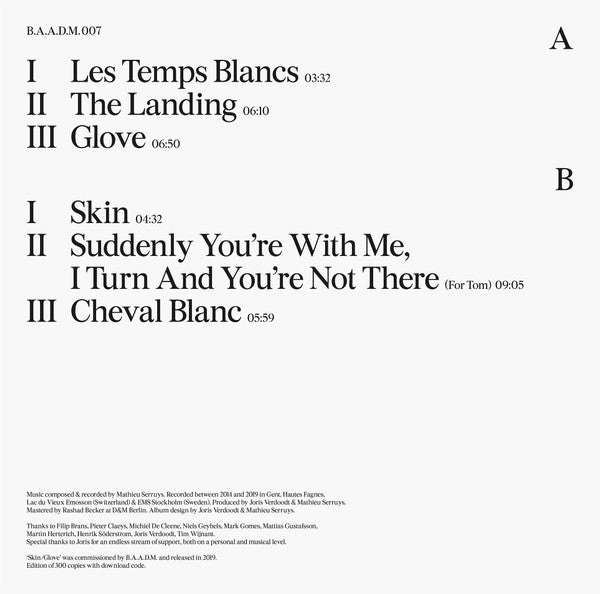 Mathieu Serruys - Skin/Glove — back sleeve